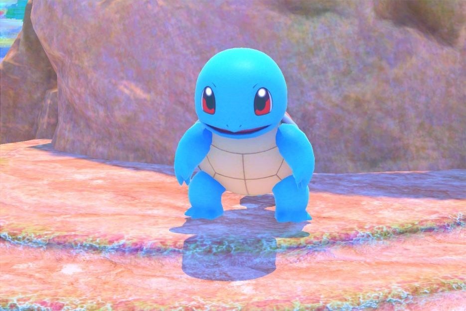 1 photo of Squirtle