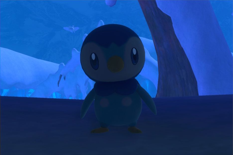 1 photo of Piplup