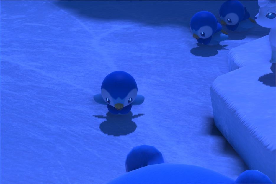 3 photo of Piplup